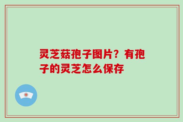 灵芝菇孢子图片？有孢子的灵芝怎么保存
