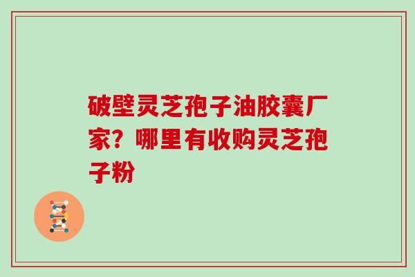 破壁灵芝孢子油胶囊厂家？哪里有收购灵芝孢子粉