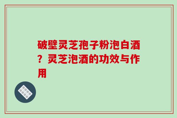 破壁灵芝孢子粉泡白酒？灵芝泡酒的功效与作用