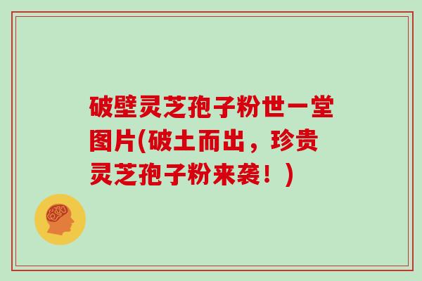破壁灵芝孢子粉世一堂图片(破土而出，珍贵灵芝孢子粉来袭！)