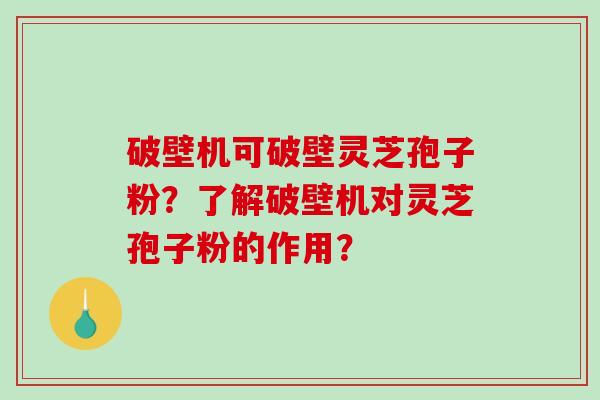 破壁机可破壁灵芝孢子粉？了解破壁机对灵芝孢子粉的作用？