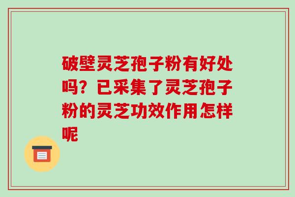 破壁灵芝孢子粉有好处吗?已采集了灵芝孢子粉的灵芝功效作用怎样呢 破壁灵芝孢子粉有好处吗?已采集了灵芝孢子粉的灵芝功效作用怎样呢