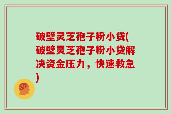 破壁灵芝孢子粉小贷(破壁灵芝孢子粉小贷解决资金压力，快速救急)