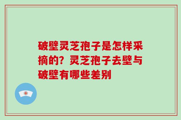 破壁灵芝孢子是怎样采摘的？灵芝孢子去壁与破壁有哪些差别