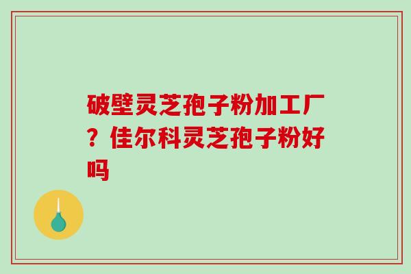 破壁灵芝孢子粉加工厂？佳尔科灵芝孢子粉好吗