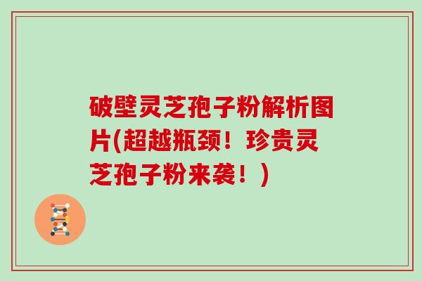 破壁灵芝孢子粉解析图片(超越瓶颈！珍贵灵芝孢子粉来袭！)