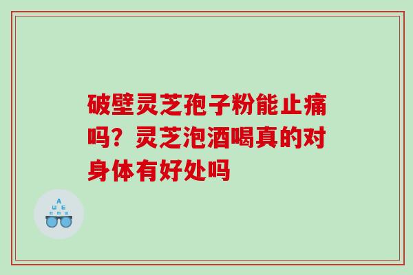破壁灵芝孢子粉能吗？灵芝泡酒喝真的对身体有好处吗
