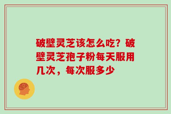 破壁灵芝该怎么吃？破壁灵芝孢子粉每天服用几次，每次服多少
