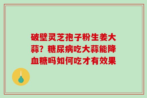 破壁灵芝孢子粉生姜大蒜？吃大蒜能降吗如何吃才有效果