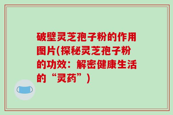 破壁灵芝孢子粉的作用图片(探秘灵芝孢子粉的功效：解密健康生活的“灵药”)