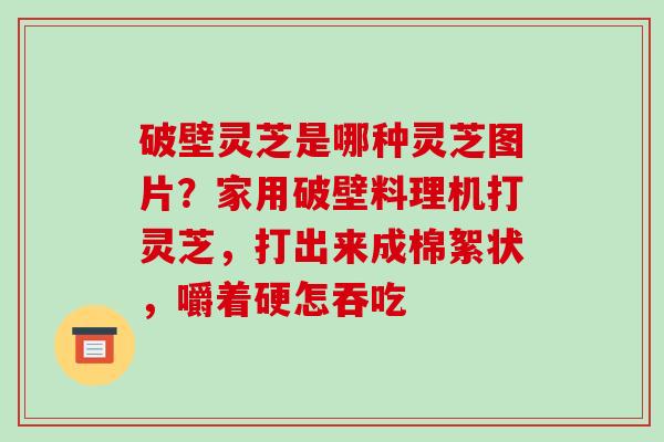破壁灵芝是哪种灵芝图片？家用破壁料理机打灵芝，打出来成棉絮状，嚼着硬怎吞吃