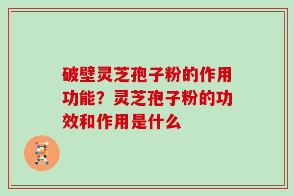 破壁灵芝孢子粉的作用功能？灵芝孢子粉的功效和作用是什么