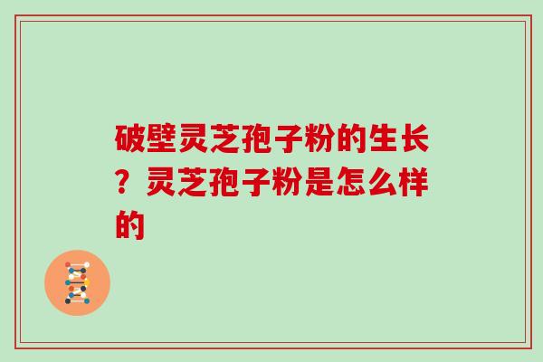 破壁灵芝孢子粉的生长？灵芝孢子粉是怎么样的