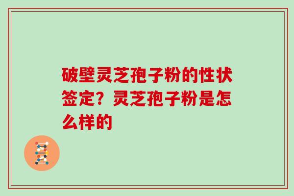 破壁灵芝孢子粉的性状签定？灵芝孢子粉是怎么样的