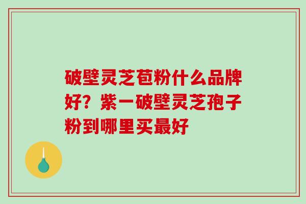 破壁灵芝苞粉什么品牌好？紫一破壁灵芝孢子粉到哪里买好