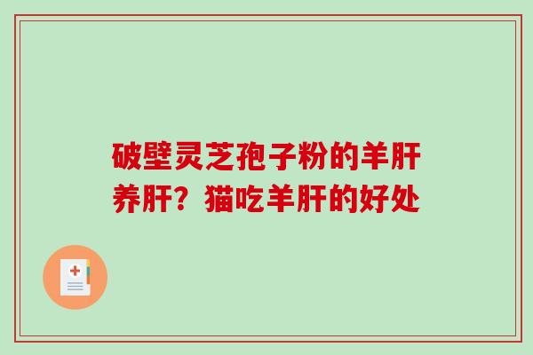 破壁灵芝孢子粉的羊养？猫吃羊的好处