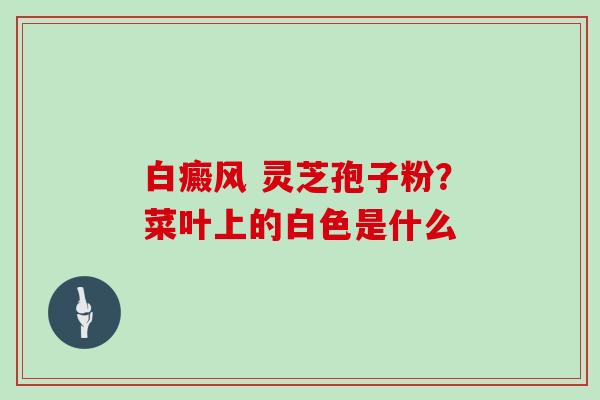 白癜风 灵芝孢子粉？菜叶上的白色是什么