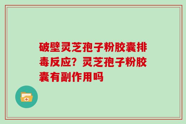 破壁灵芝孢子粉胶囊反应？灵芝孢子粉胶囊有副作用吗
