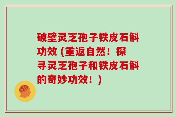 破壁灵芝孢子铁皮石斛功效 (重返自然！探寻灵芝孢子和铁皮石斛的奇妙功效！)