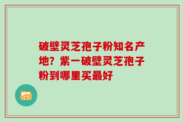 破壁灵芝孢子粉知名产地？紫一破壁灵芝孢子粉到哪里买好