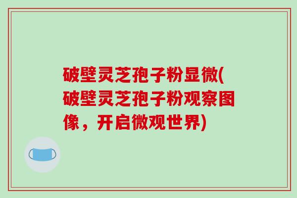 破壁灵芝孢子粉显微(破壁灵芝孢子粉观察图像，开启微观世界)
