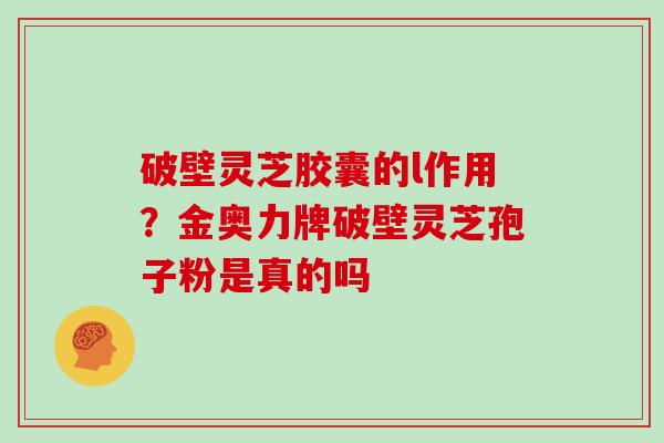 破壁灵芝胶囊的l作用？金奥力牌破壁灵芝孢子粉是真的吗