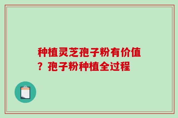 种植灵芝孢子粉有价值？孢子粉种植全过程