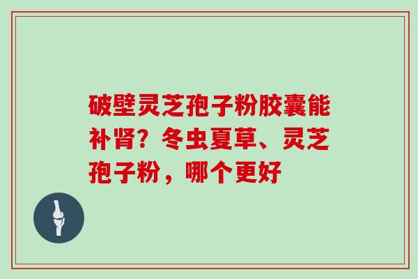 破壁灵芝孢子粉胶囊能补？冬虫夏草、灵芝孢子粉，哪个更好