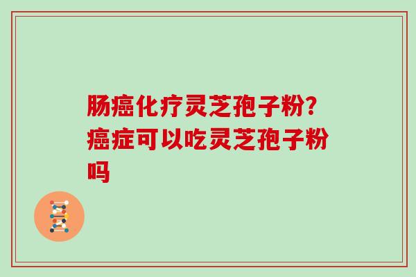 肠灵芝孢子粉？症可以吃灵芝孢子粉吗