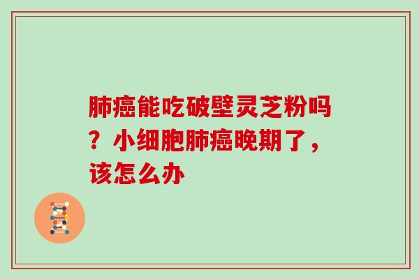 能吃破壁灵芝粉吗？小细胞晚期了，该怎么办