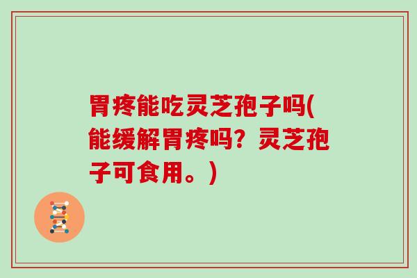 胃疼能吃灵芝孢子吗(能缓解胃疼吗？灵芝孢子可食用。)