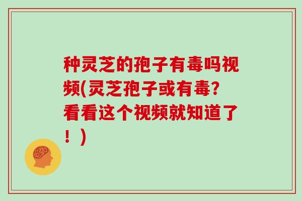 种灵芝的孢子有毒吗视频(灵芝孢子或有毒？看看这个视频就知道了！)