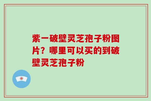 紫一破壁灵芝孢子粉图片？哪里可以买的到破壁灵芝孢子粉