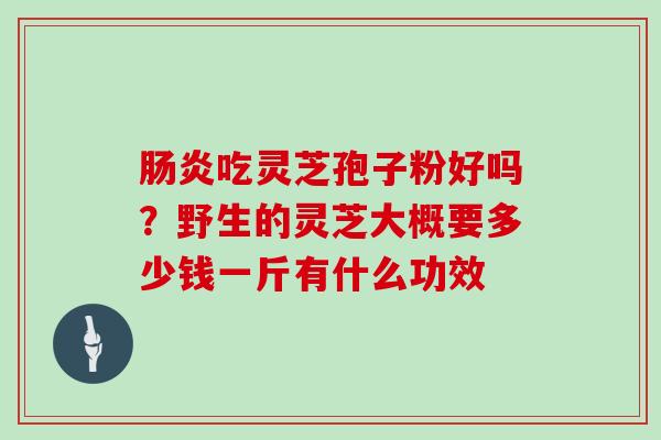 吃灵芝孢子粉好吗？野生的灵芝大概要多少钱一斤有什么功效