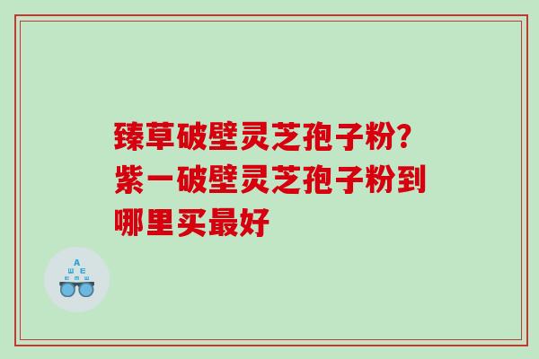 臻草破壁灵芝孢子粉？紫一破壁灵芝孢子粉到哪里买好