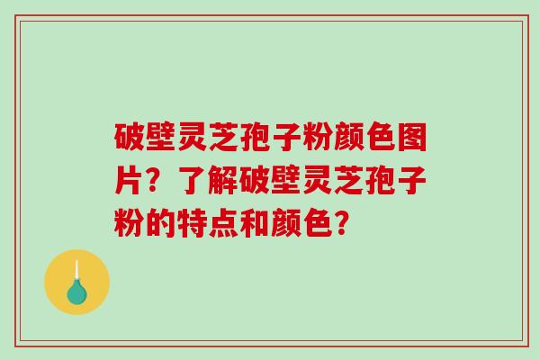 破壁灵芝孢子粉颜色图片？了解破壁灵芝孢子粉的特点和颜色？