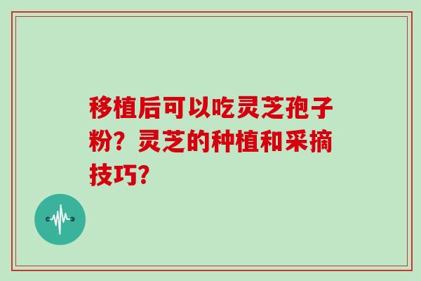 移植后可以吃灵芝孢子粉？灵芝的种植和采摘技巧？