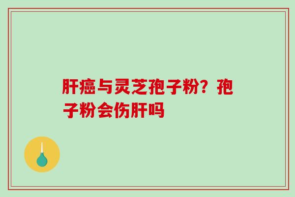 与灵芝孢子粉？孢子粉会伤吗