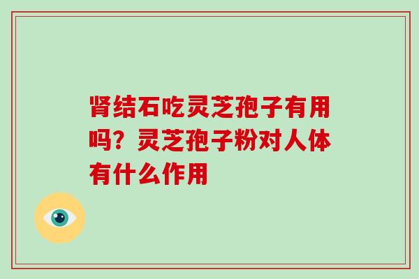 结石吃灵芝孢子有用吗？灵芝孢子粉对人体有什么作用