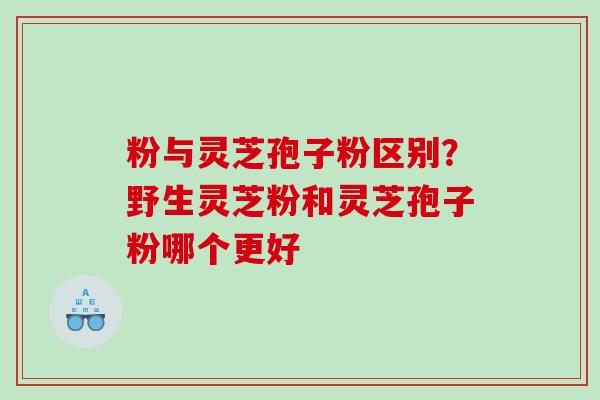 粉与灵芝孢子粉区别？野生灵芝粉和灵芝孢子粉哪个更好