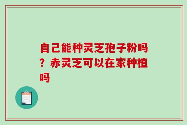 自己能种灵芝孢子粉吗？赤灵芝可以在家种植吗