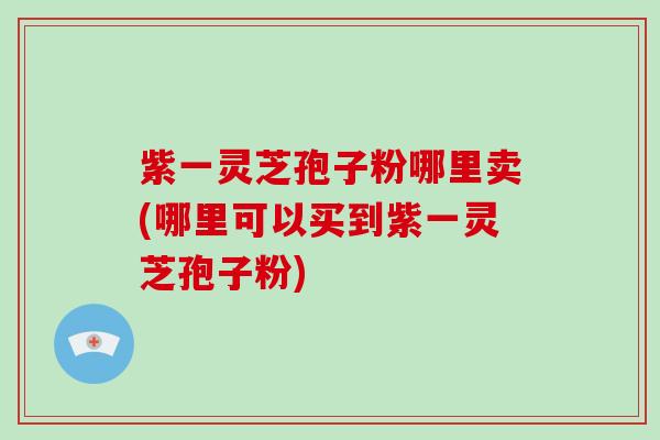 紫一灵芝孢子粉哪里卖(哪里可以买到紫一灵芝孢子粉)
