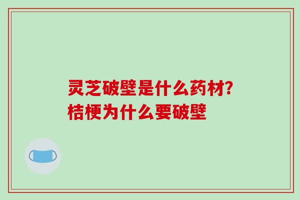 灵芝破壁是什么药材？桔梗为什么要破壁