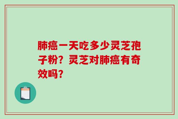 一天吃多少灵芝孢子粉？灵芝对有奇效吗？