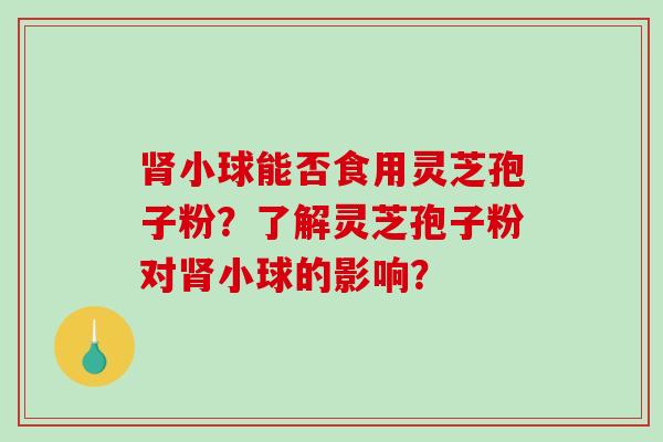 小球能否食用灵芝孢子粉？了解灵芝孢子粉对小球的影响？