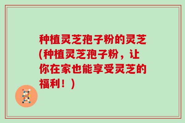 种植灵芝孢子粉的灵芝(种植灵芝孢子粉，让你在家也能享受灵芝的福利！)