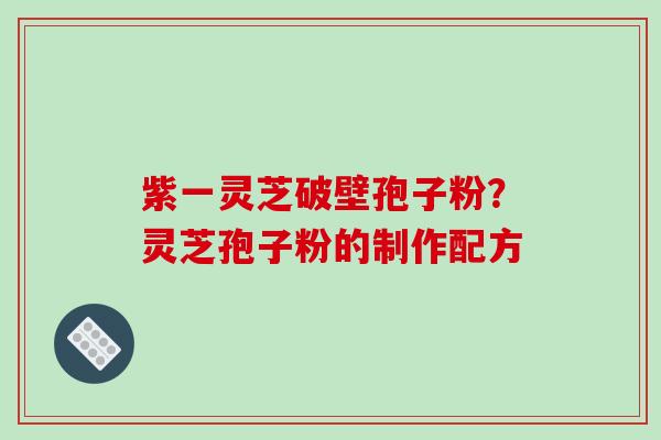 紫一灵芝破壁孢子粉？灵芝孢子粉的制作配方