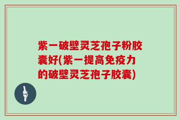 紫一破壁灵芝孢子粉胶囊好(紫一提高免疫力的破壁灵芝孢子胶囊)