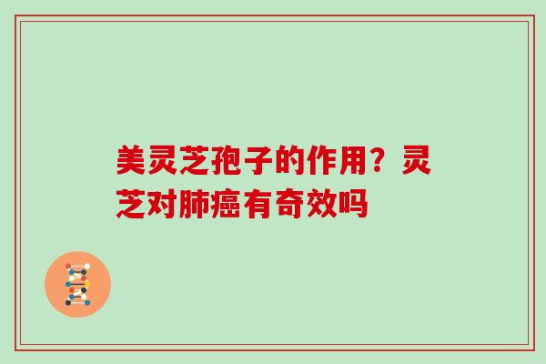 美灵芝孢子的作用？灵芝对有奇效吗