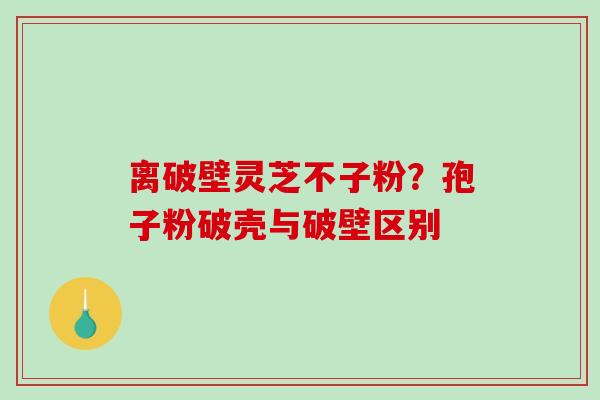 离破壁灵芝不子粉？孢子粉破壳与破壁区别